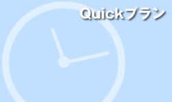 Quickv